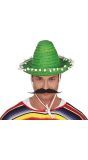 Puntige sombrero groen