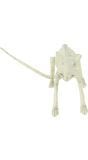 Rat skelet Halloween decoratie