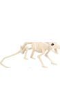 Rattenskelet Halloween Decoraties Standaard