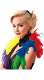 Regenboog boa met veren