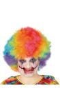 Regenboog clown pruik