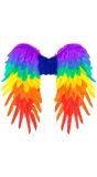 Regenboog Feeënvleugels Opvouwbaar