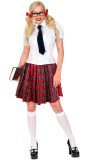 Rode Schotse Kilt