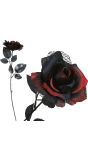 Rood/zwarte roos 40 cm halloween
