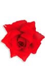 Roos broche