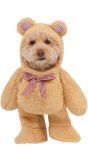 Schattig Honden Kostuum Teddybeer
