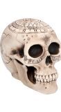 Schedel Astronomie Halloween Decoratie