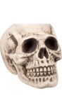 Schedel decoratie bighead