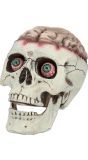 Schedel met beweegbare kaak halloween decoratie