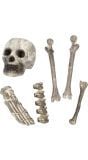 Schedel met Botten Halloween Decoratie 6-Delig