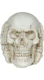 Schedel met Handen Halloween