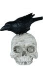 Schedel met Kraai Halloween