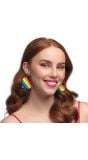 Set Van 2 Regenboog Hart Oorbellen Pride