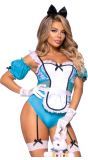 Sexy Alice In Wonderland Outfit