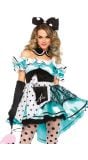 Sexy Alice in Wonderland pakje