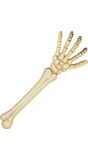 Skelet arm decoratie halloween