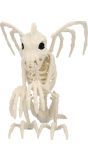 Skelet Gargoyle Halloween Decoraties