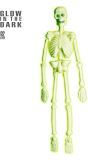 Skelet halloween glow in the dark