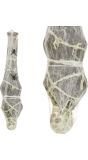 Skelet in spinnenweb Halloween