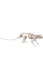 Skelet rat decoratie