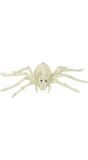 Spin skelet Halloween decoratie