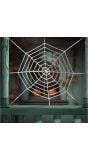Spinnenweb Decoratie 210cm