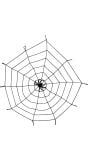 Spinnenweb met spin decoratie elastisch