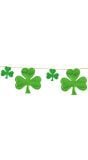 St Patrick's Day Figuurslinger 3M