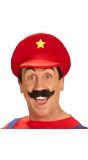 Super Mario pet