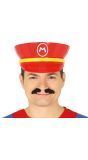 Super Mario pet plastic