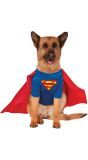 Superman Pakje voor Honden