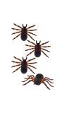 Tarantula Spin Halloween Decoratie