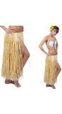 Tropische Rieten Hawaii Rok
