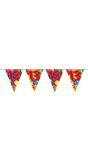 Verjaardag 13 jaar balloons vlaggenlijn 10 meter