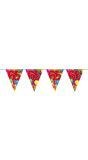 Verjaardag 65 jaar balloons vlaggenlijn 10 meter