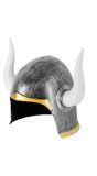Viking Helm Heren Feest
