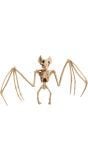 Vleermuis skelet halloween decoratie