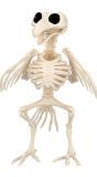 Vogelskelet Halloween Decoratie