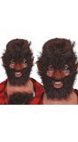 Weerwolf Gezicht Beharing Bruin Haar