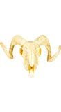 Wild west dieren schedel decoratie