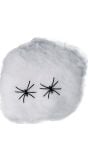 Wit spinnenweb decoratie 20gr