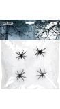 Wit Spinrag met 4 Spinnen 60G