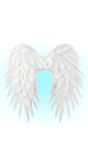 Witte Feeënvleugels Opvouwbaar