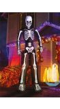 XL Halloween skelet opblaasbaar 200CM