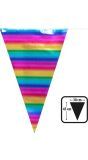 XXL metallic rainbow vlaggenlijn