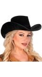 Zwarte cowboy hoed
