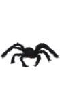 Zwarte spin 50 cm halloween