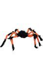 Zwart/oranje spin 75 cm halloween