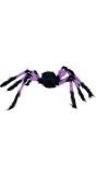 Zwart/paarse spin 75 cm halloween