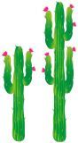 2 papieren cactussen